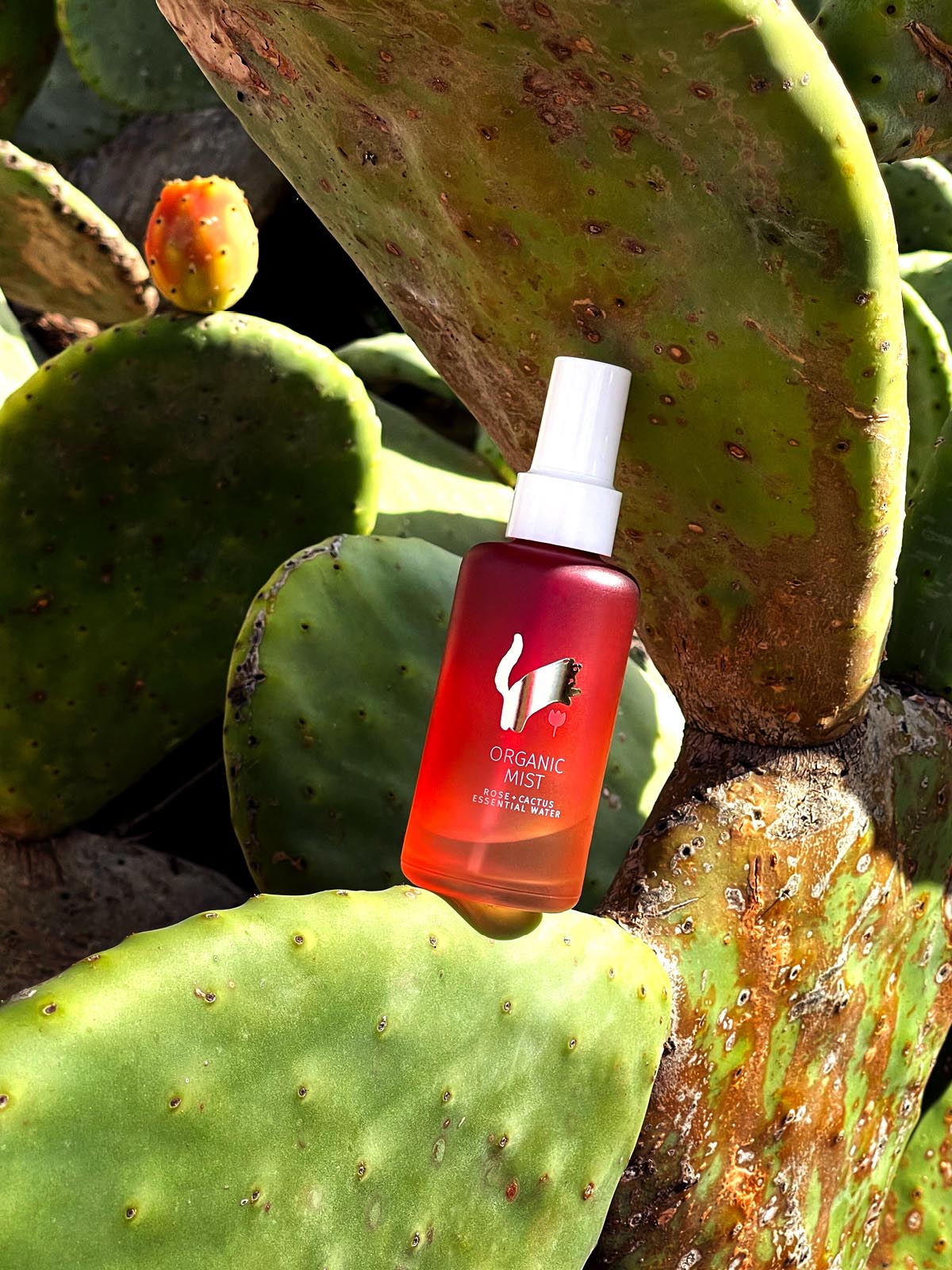 Hydrolat ORGANIC MIST Róża + kaktus