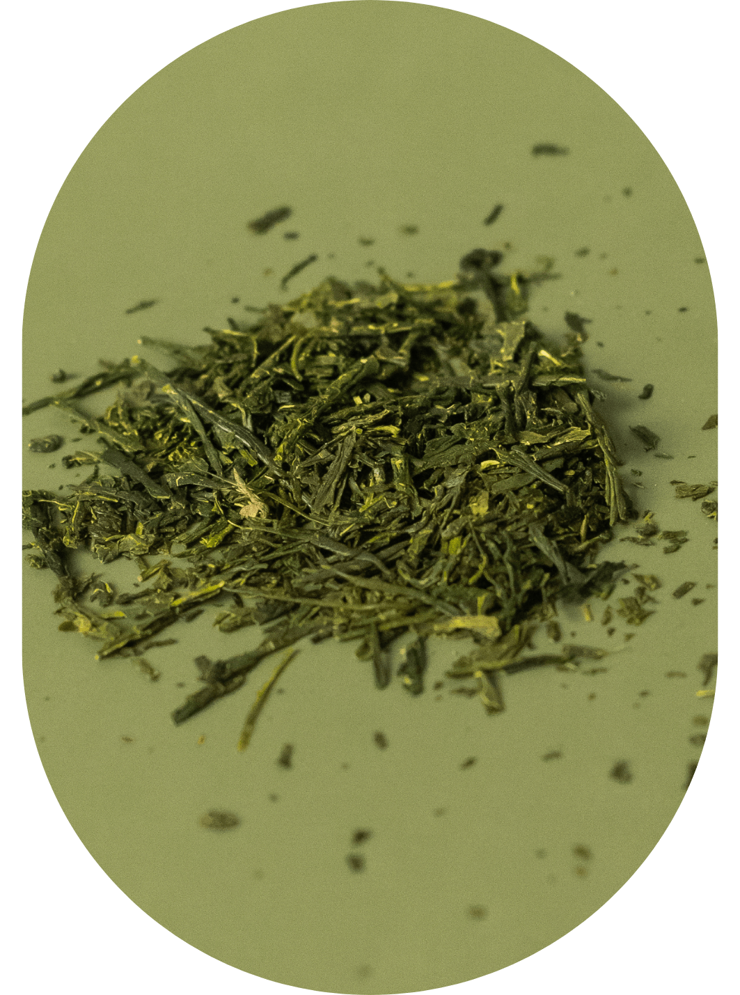 Green Sencha - zielona herbata liściasta