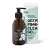 Głęboko oczyszczający żel do mycia twarzy z aktywnym ekstraktem z zielonej herbaty z EGCG, prebiotykiem z cykorii i agawy i ALPAFLOR® ALP®-SEBUM DEEPLY PORE CLEANSING GEL