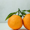 Naturalny balsam do ciała Korzenna Pomarańcza – regenerujący