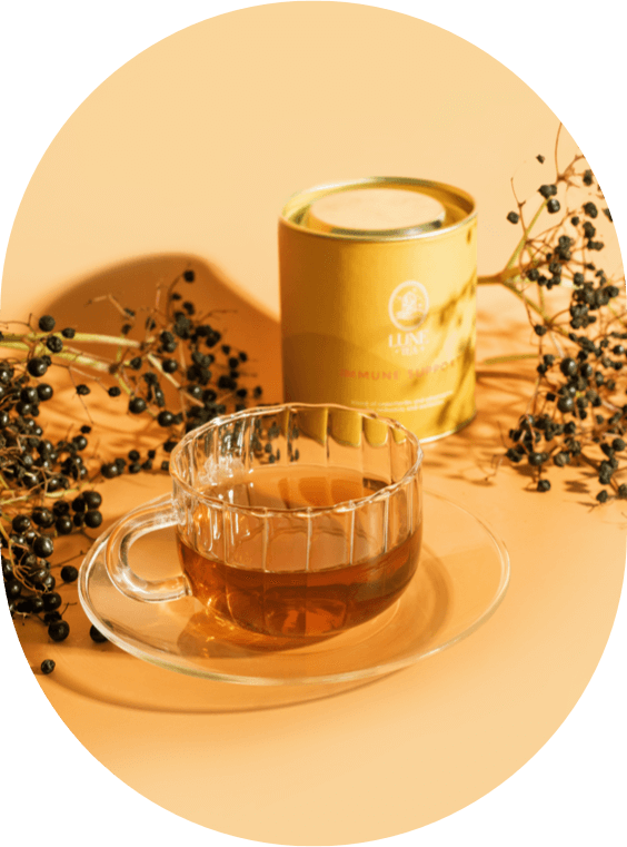 Herbata Immune Support